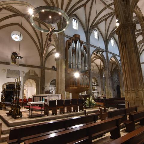 restauración catedral magistral Alcalá
