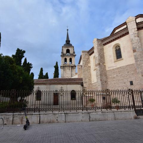 catedral magistral Alcalá