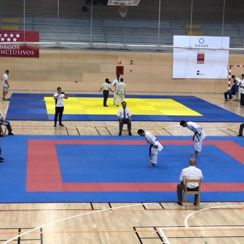 INCLUSIVE JUDO