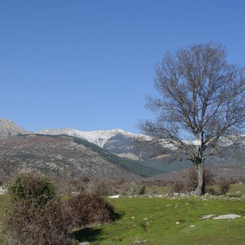 Reserva de la Biosfera Cuenca Alta del río Manzanares. Hueco de San Blas