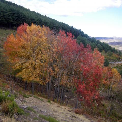 Reserva de la Biosfera Sierra del Rincón. Paisaje