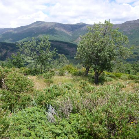 Reserva de la Biosfera Sierra del Rincón. Paisaje