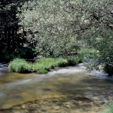 Río Manzanares en La Pedriza