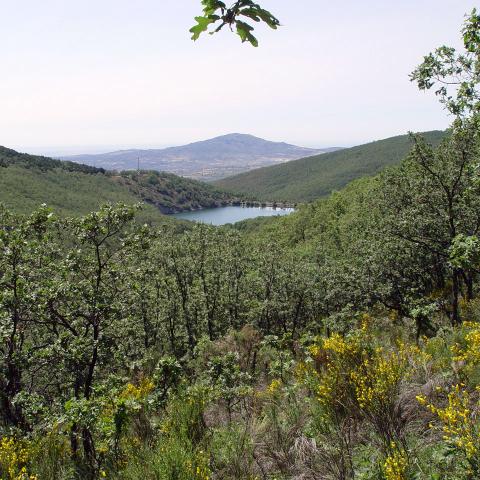 Parque Regional de la cuenca alta del Manzanares. Embalse de Miraflores