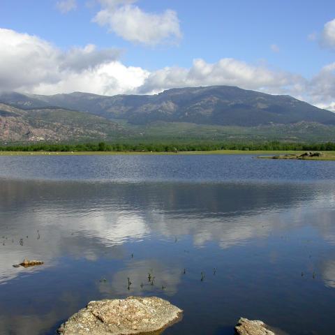 Embalse de Santillana. Parque Regional de la Cuenca alta del Manzanares