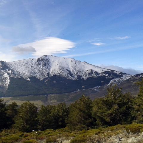 Parque Regional de la cuenca alta del Manzanares. La Najarra