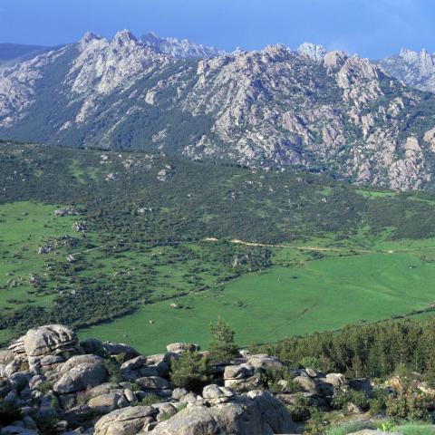 Parque Regional de la cuenca alta del Manzanares. La Pedriza