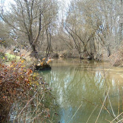 Parque Regional del curso medio del río Guadarrama y su entorno