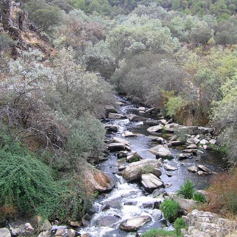 Parque Regional del curso medio del río Guadarrama y su entorno