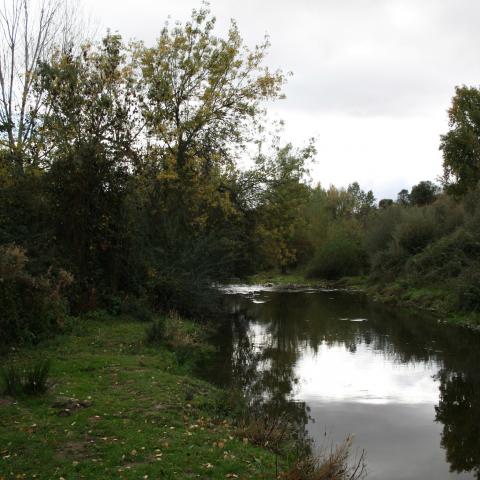 Parque Regional del curso medio del río Guadarrama y su entorno. Senda del Retamar