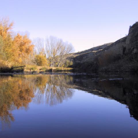 Parque Regional del Sureste_Azud del Henares