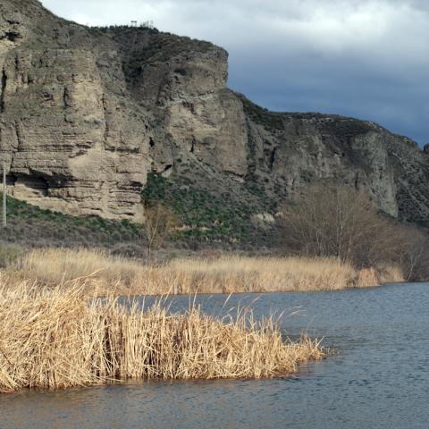 Parque Regional del Sureste_El Campillo