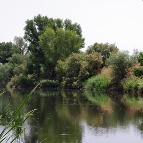 Parque Regional del Sureste_Rio Jarama