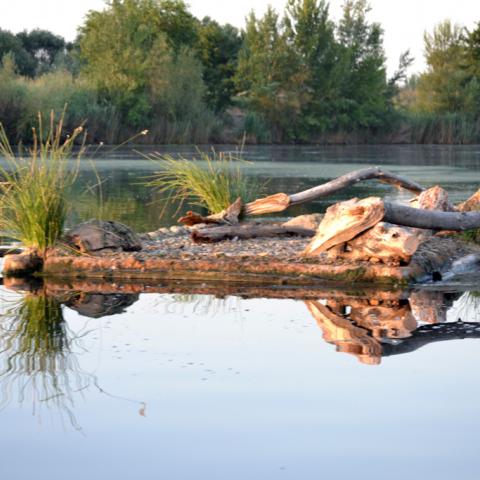 Parque Regional del Sureste_Soto de las Juntas. Islote artificial