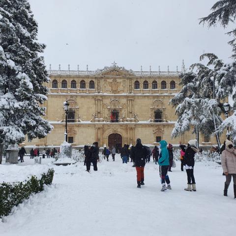 Alcalá de Henares - Paquita Castellanos Fernández 6