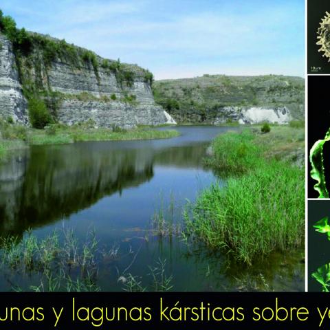 Lagunas y lagunas kársticas sobre yesos