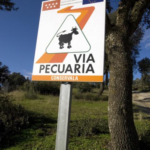 Foto señal Vías Pecuarias