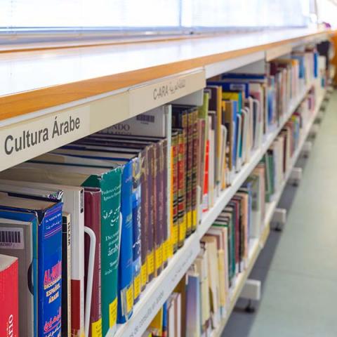 Biblioteca María Moliner (Villaverde) 2022