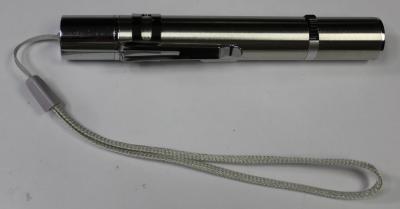 puntero perros gatos