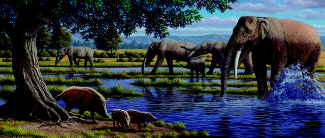 landscape