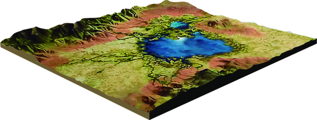 lower miocene