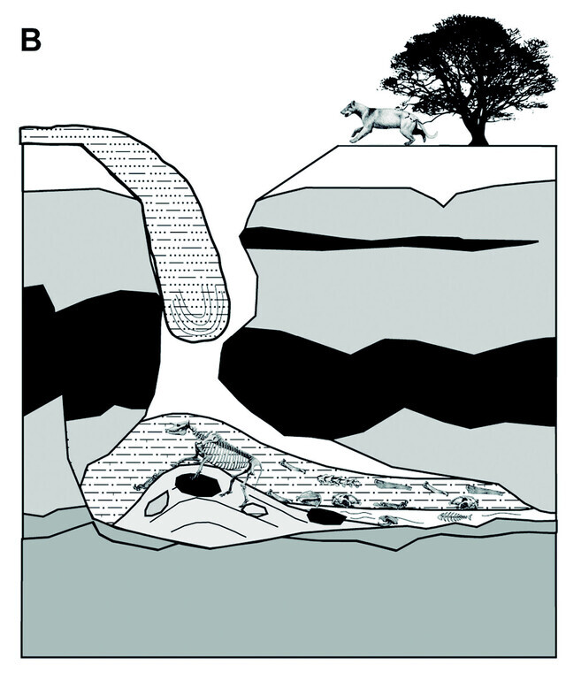 Episodic streams introduced sediments into the cavity
