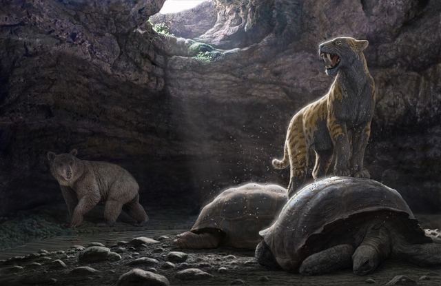 Reconstruction of one of the caves