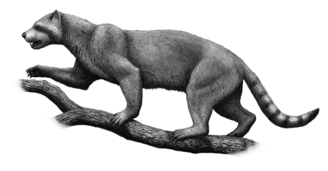 CARNIVORES: THE AILURIDS