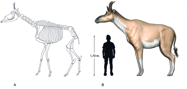 Reconstruction
