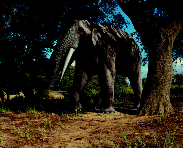 mastodon