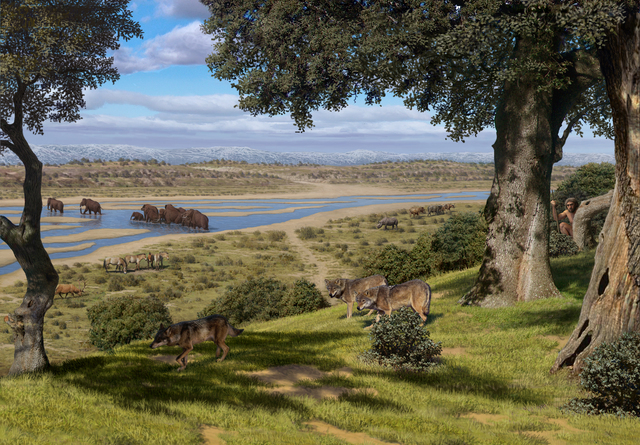 Pleistocene fauna