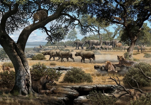 Cenozoic animals