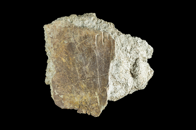 Plate