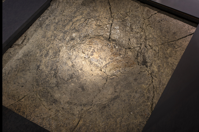 Footprint