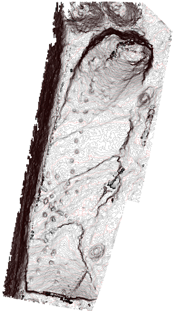 mastodon footprints